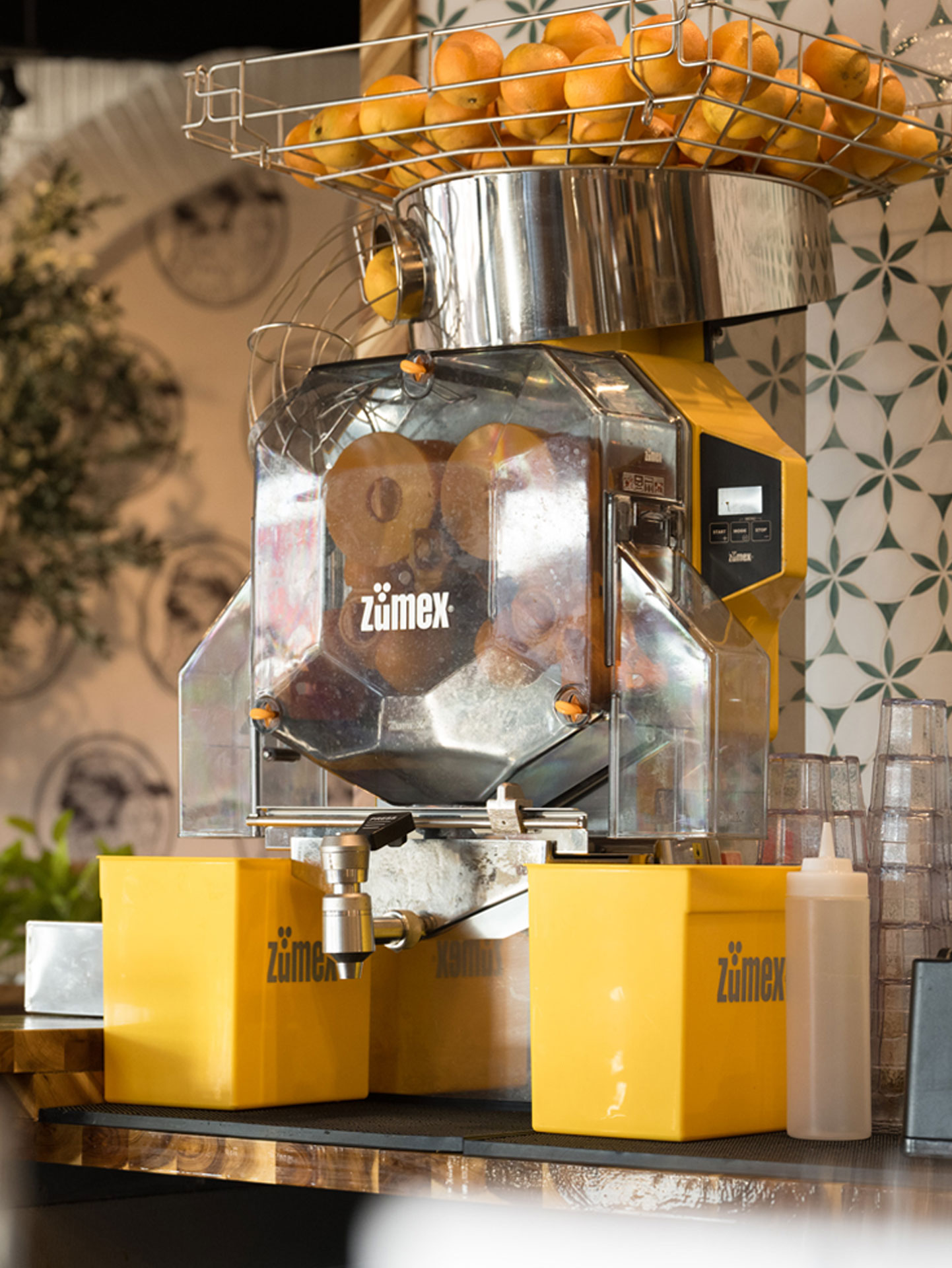 Zumex orange juice machine at The White Sheep café in Naperville with fresh oranges and patterned tile backdrop.